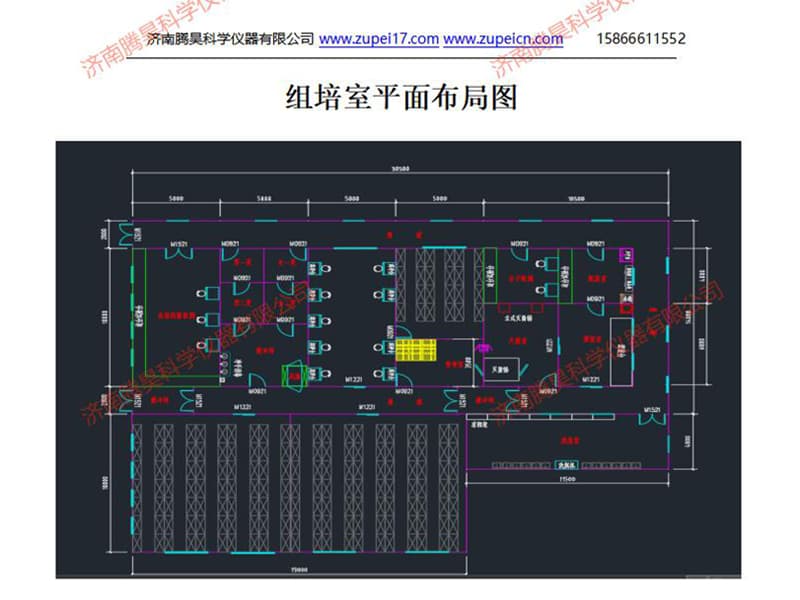 午夜成人免费视频室