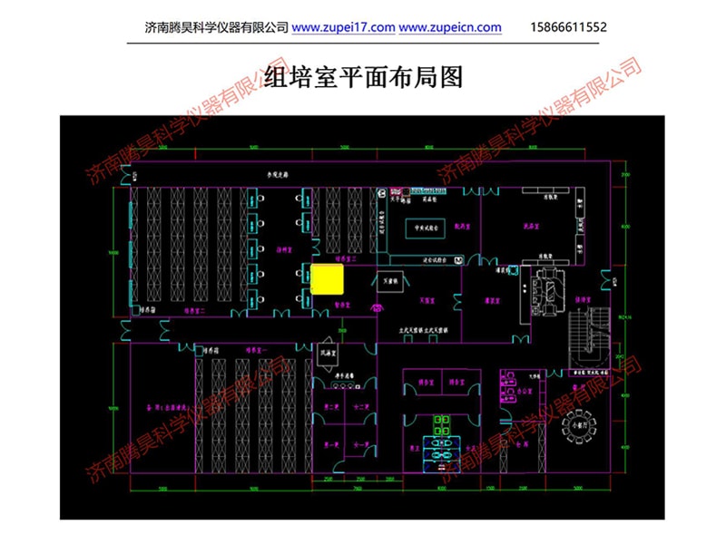 午夜成人免费视频室