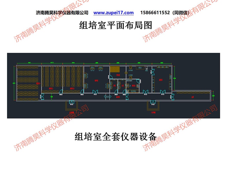 午夜成人免费视频  午夜成人免费视频室