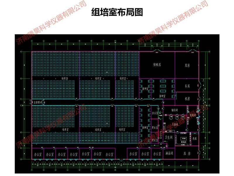 午夜成人免费视频室