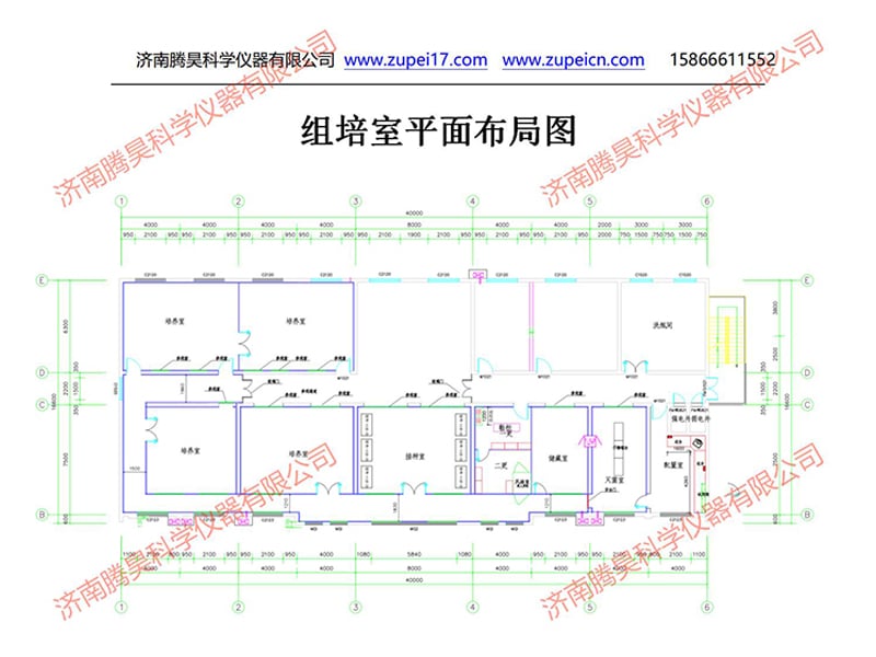 午夜成人免费视频室