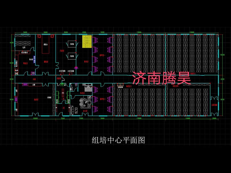 午夜成人免费视频  午夜成人免费视频室