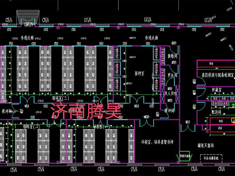 午夜成人免费视频  午夜成人免费视频室
