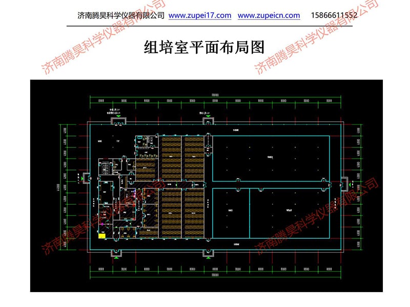 午夜成人免费视频  午夜成人免费视频室