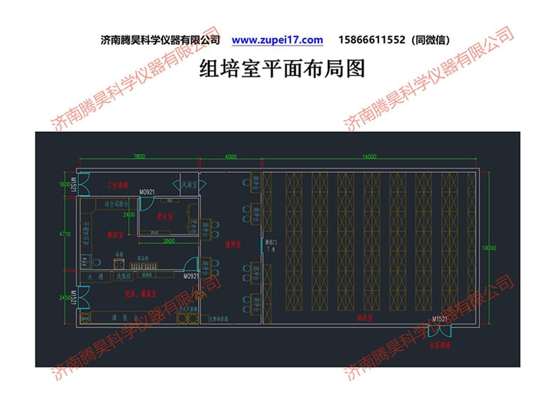 午夜成人免费视频室