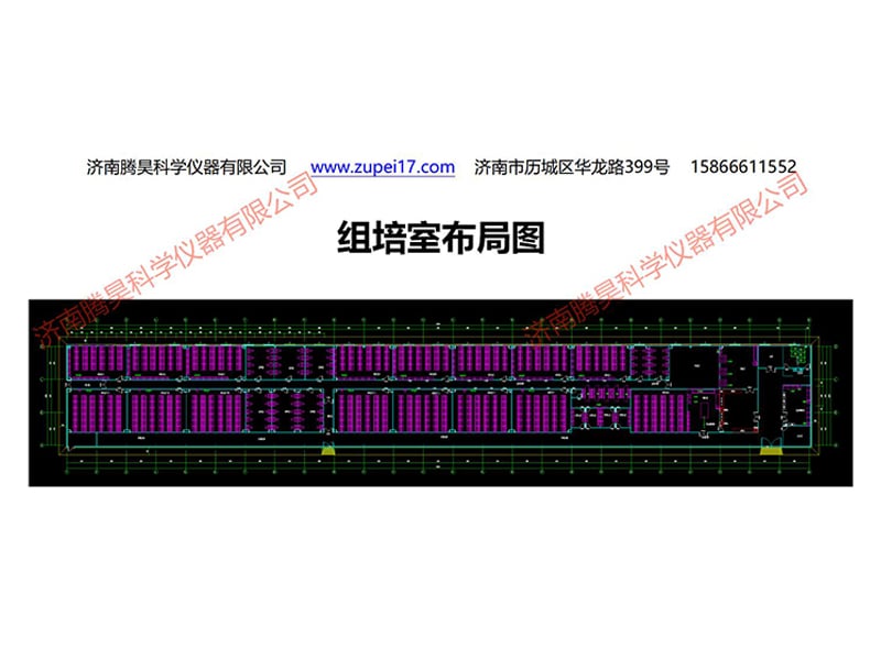 午夜成人免费视频室