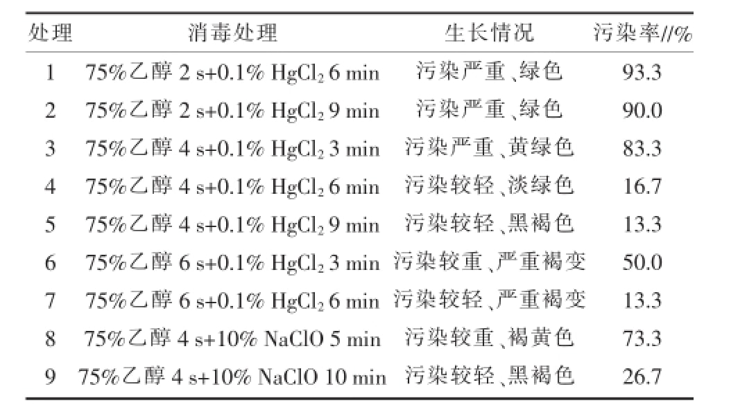 午夜成人免费视频室