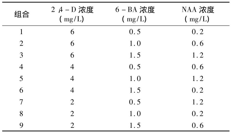午夜成人免费视频實驗室