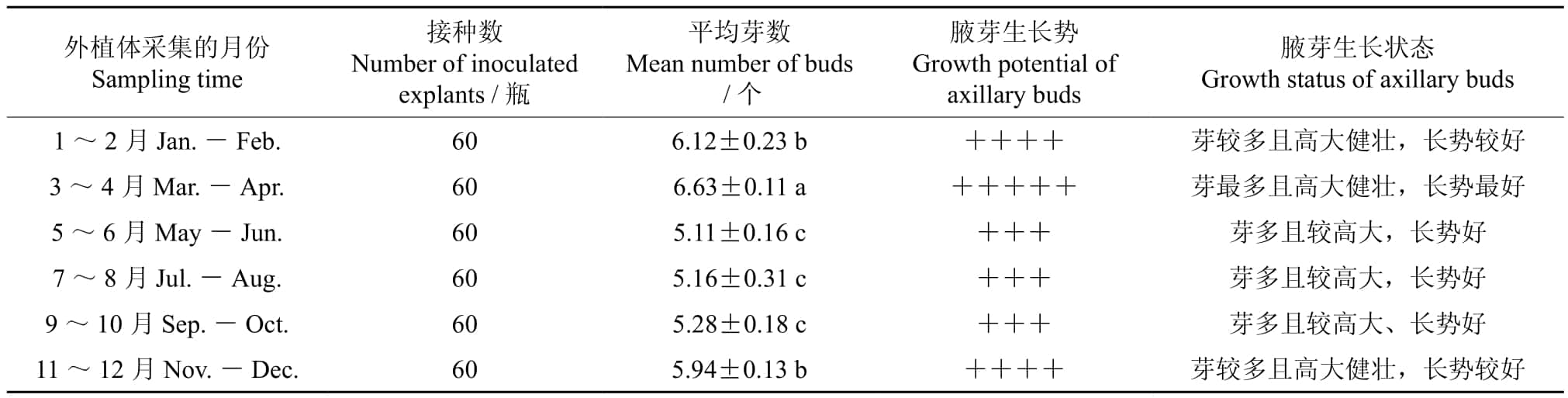 午夜成人免费视频室設計