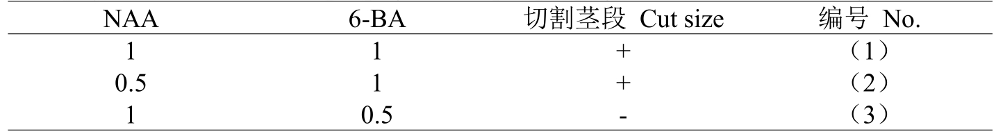 午夜成人免费视频室設計