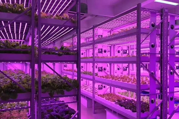 午夜成人免费视频光照的需求指標