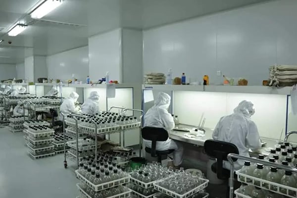木本植物組織培養中的關鍵因素
