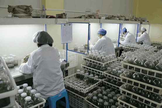 午夜成人免费视频室常用的儀器設備--超淨台