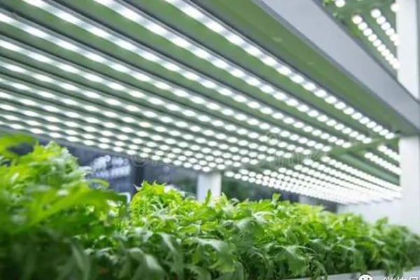 人工氣候室建設的注意事項