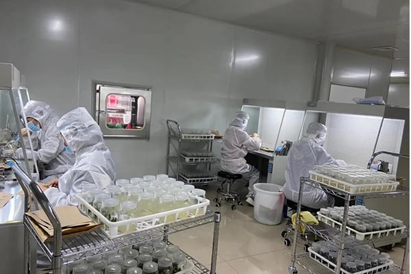 午夜成人免费视频工廠設計建設的注意事項
