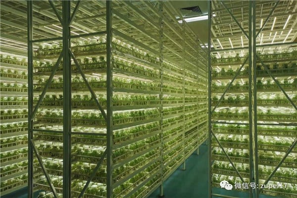 午夜成人免费视频儀器設備——臥式矩形滅菌器
