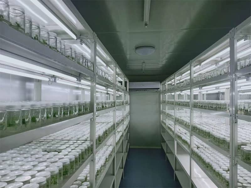 午夜成人免费视频架深受消費者喜愛的原因